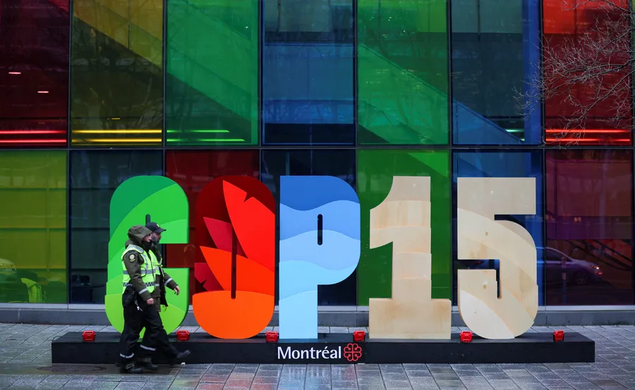 the-ipc-fight-for-peasant-biodiversity-lands-in-montreal-for-the-cop15