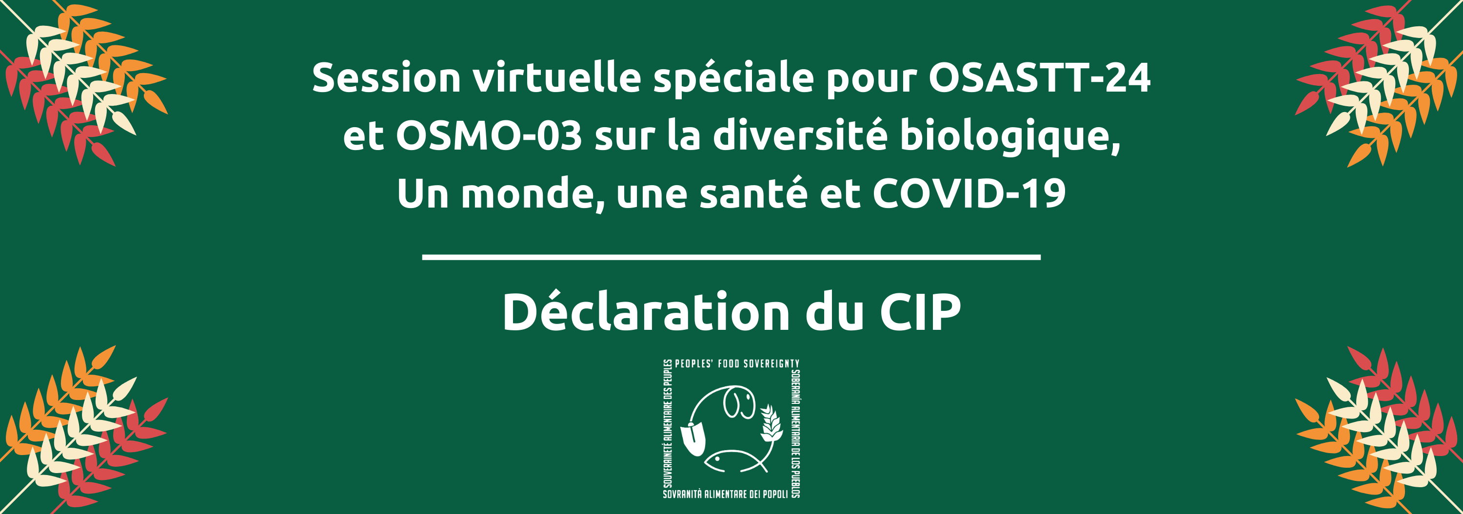 session-virtuelle-speciale-pour-sbstta-24-et-sbi-03-sur-la-diversite-biologique-un-monde-une-sante-et-covid-19